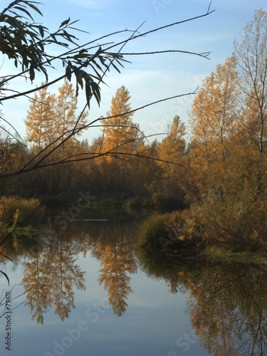 autumn