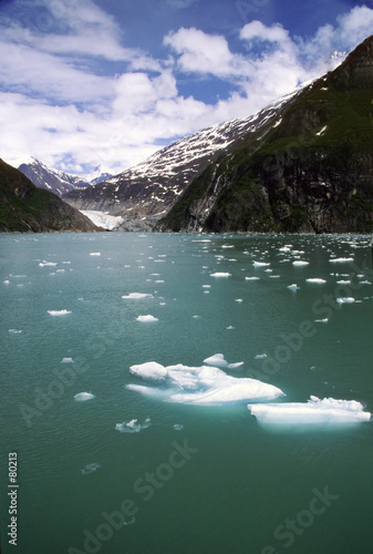 tracy arm fjord ii photo