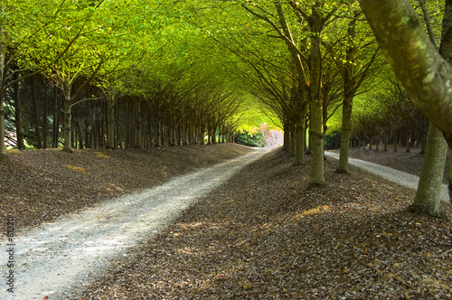 country road