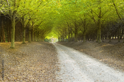 country road