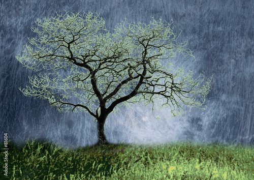 sous une pluie de lune
