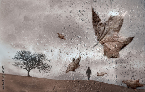 sous la pluie 1