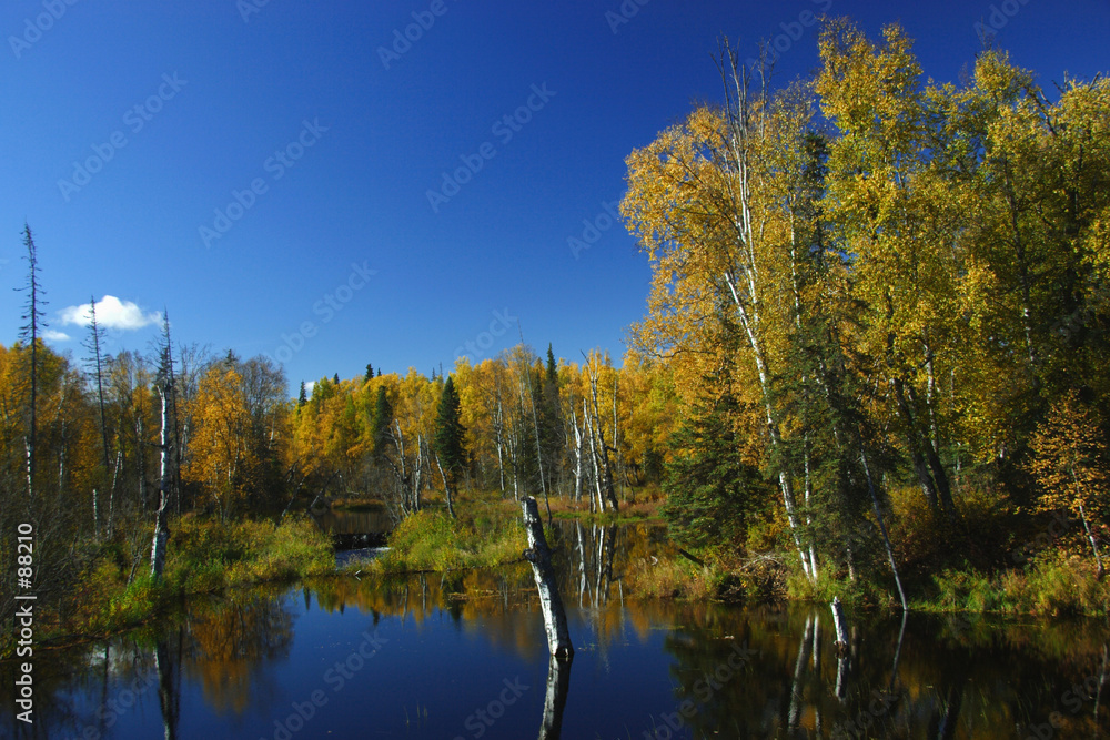 calm alaskan day in fall