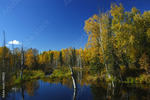 calm alaskan day in fall