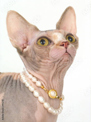 Photos necklace for favourite