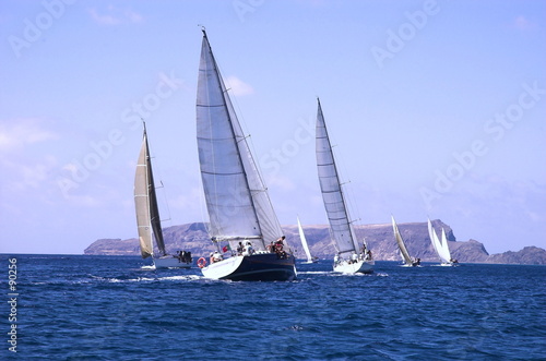 sailing in competition