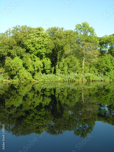 lake reflection