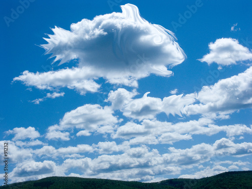 sky's fish