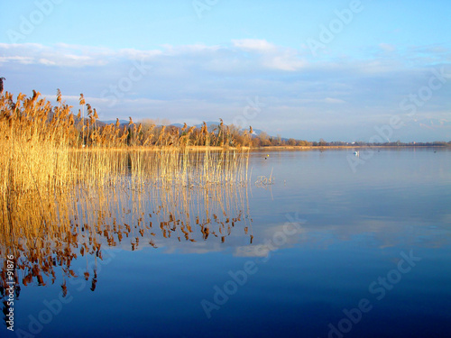 lake greifensee