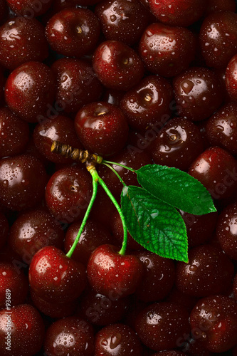 cherries with two leafs