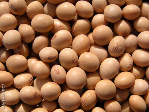 soys-beans