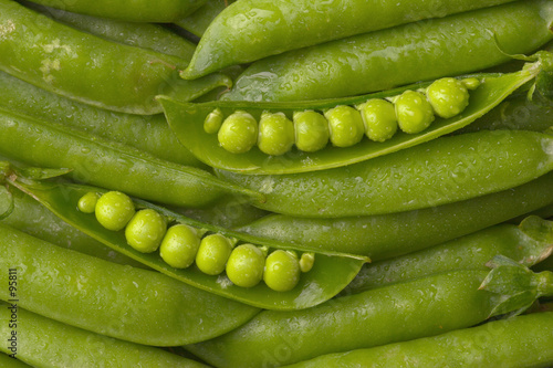 pea pods with water drops