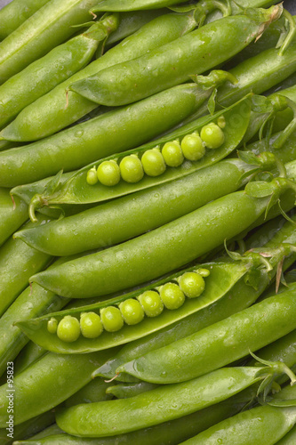 pea pods with two opened pods