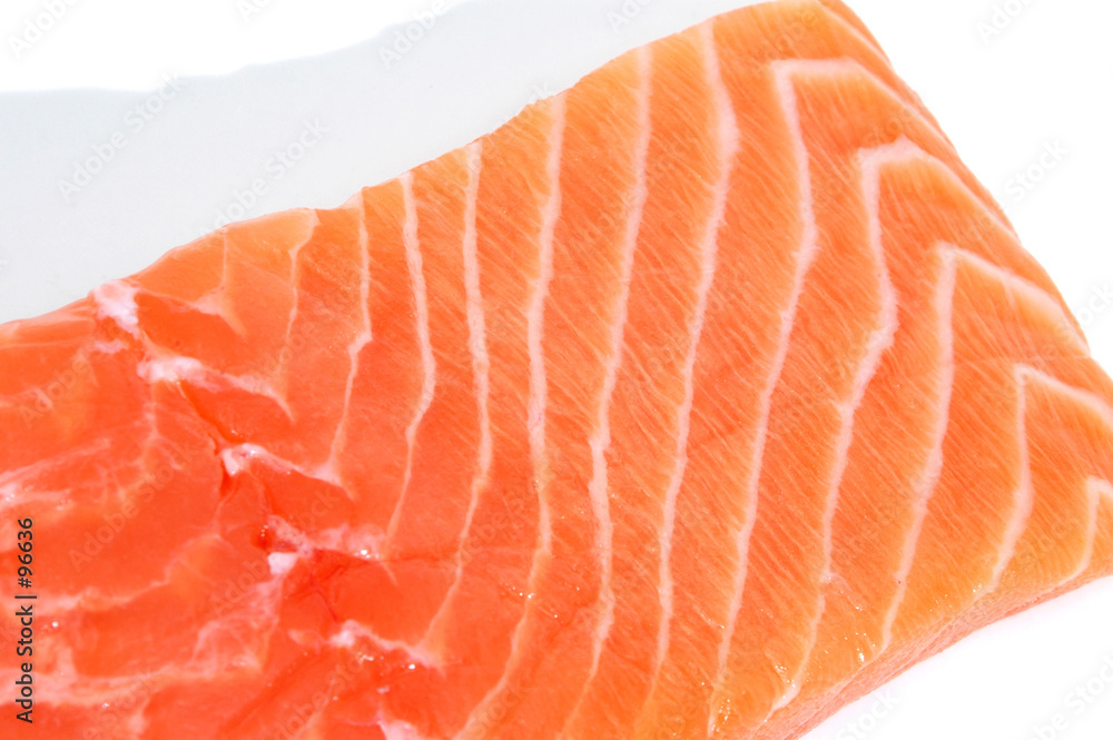 salmon salmon