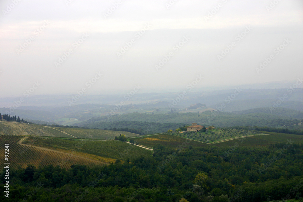 weinberge in der toscana weinberge in der toscana