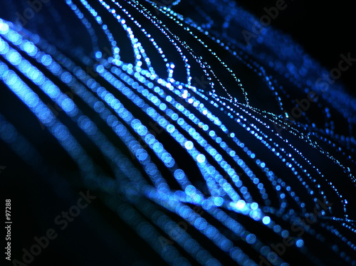 blue spider web © Anette Linnea Rasmus