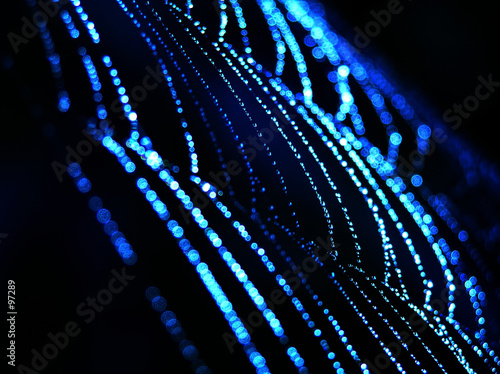 blue spider web