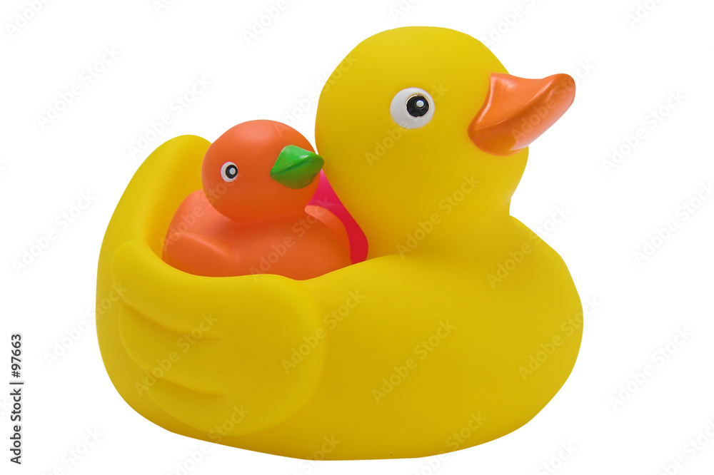 ducks ducks