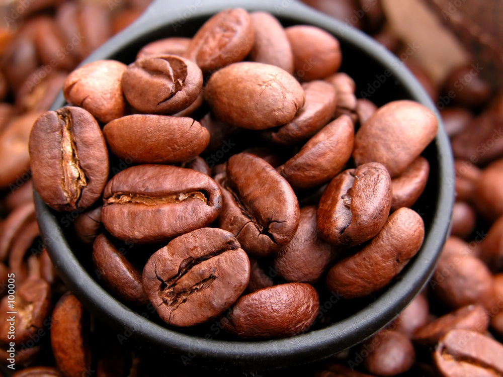 Quadro em tela coffee