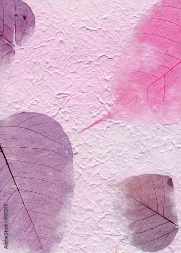 texture series - purple paper with leaves