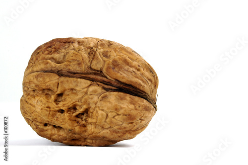 walnut