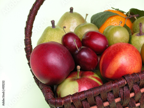 fruits