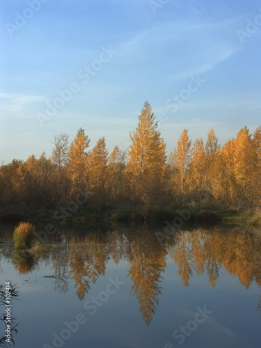 autumn