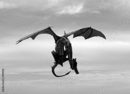 flying dragon