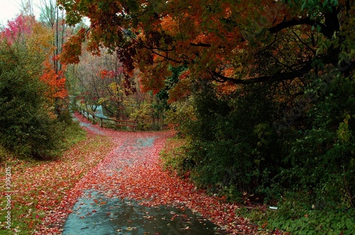 which path do you take?