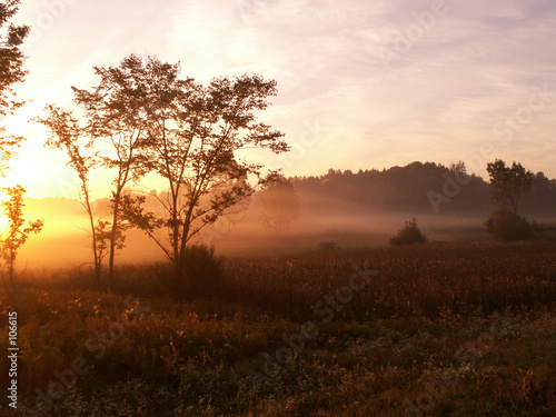 foggy morning