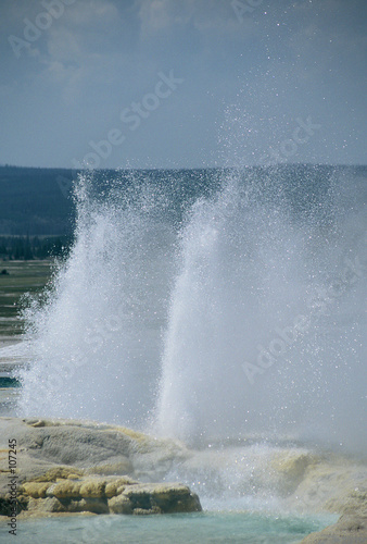 geyser at lower geyser basin, yellowstone national park, usa