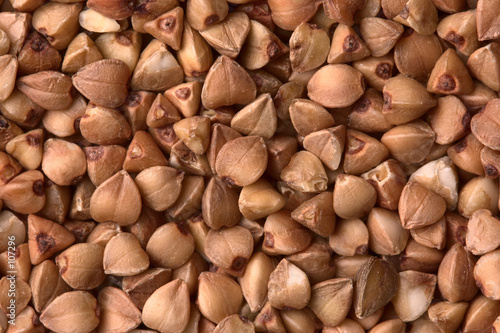 buckwheat close-up