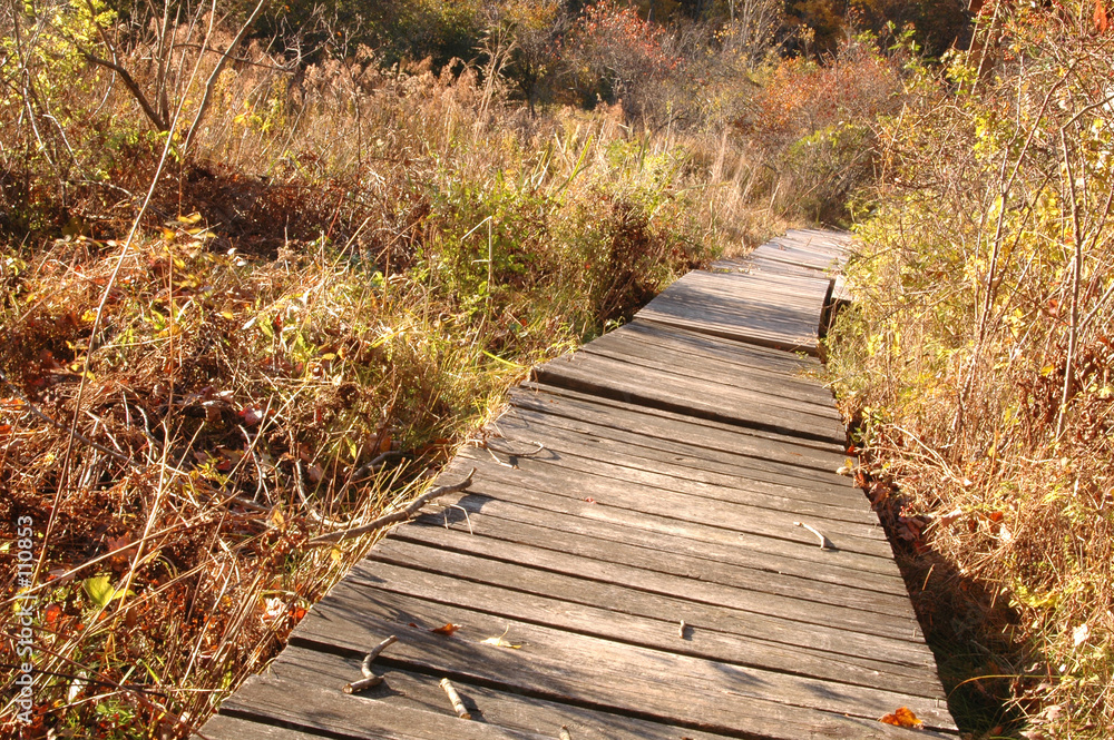Obraz premium wilderness ramp 183