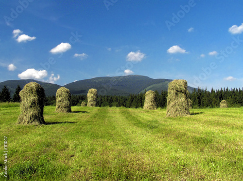 the haymaking