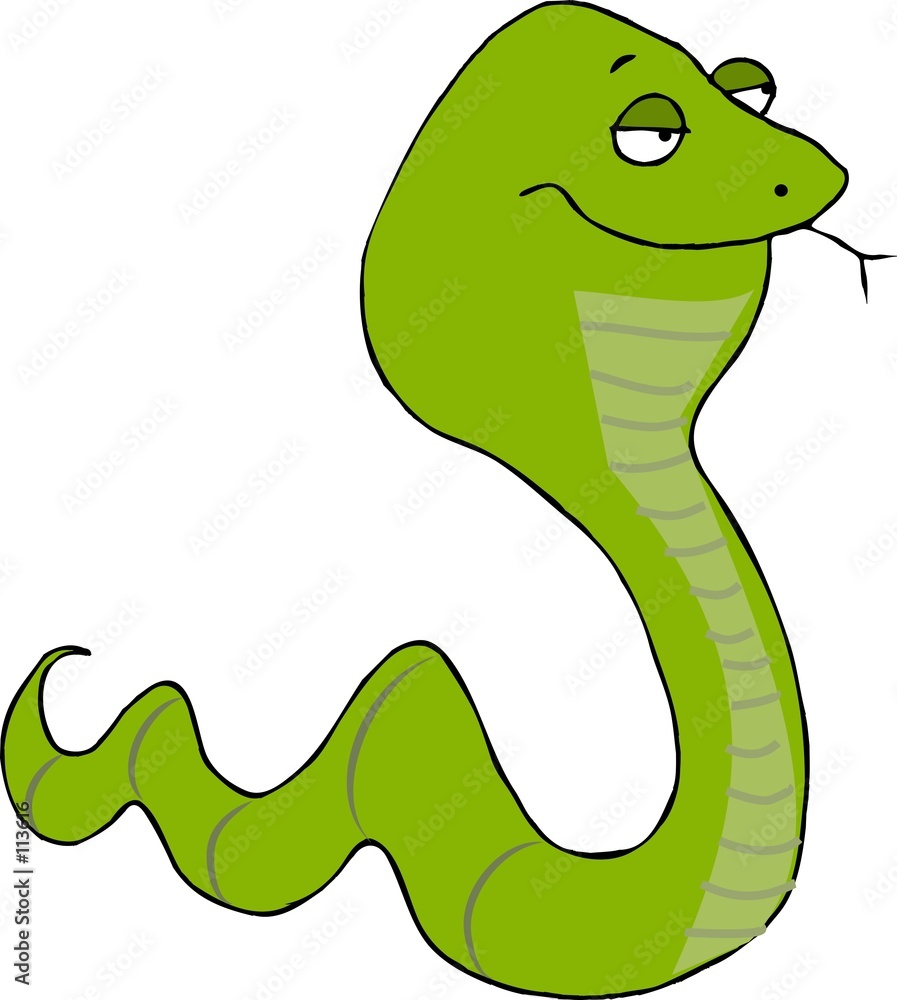 Naklejka premium comical green snake