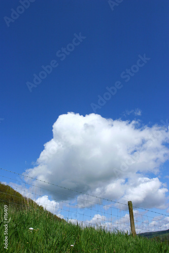 barbed wire barriers