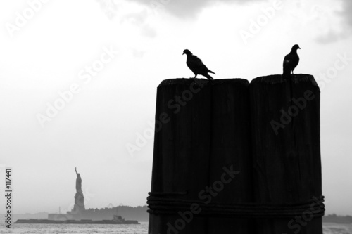 vögel mit freiheitsstatue