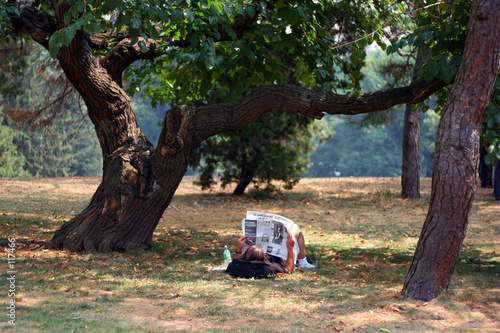 man reading newspaper under a tree central park