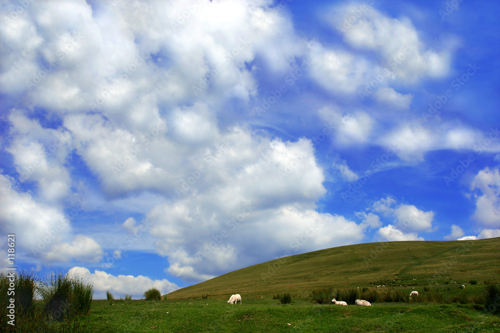 peaceful hillside peaceful hillside
