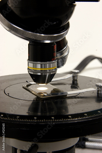 Фотография thin section in transmitted light