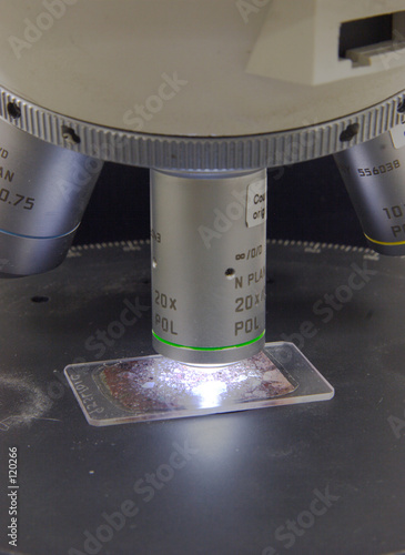 thin section being analyzed