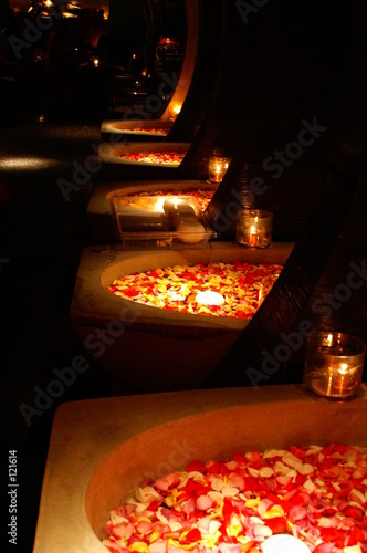 series of floating rose petals