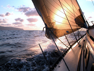 Fotobehang Zeilen Zeilen richting gouden zonsopgang  © João Freitas