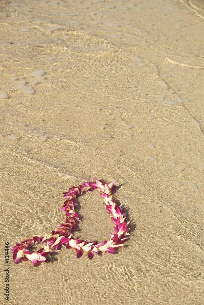 Fotografie pink orchid garland