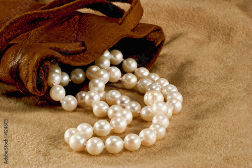 pearls and pouch photo