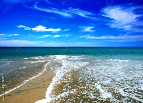 beach in the summer