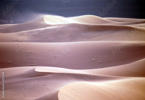 vent du sud dans les dunes