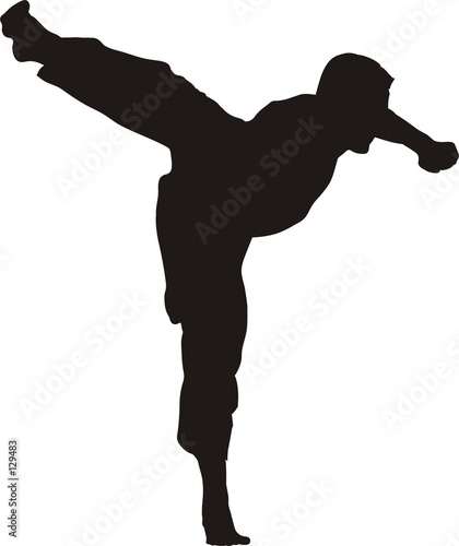 kicking karate fighter silhouette