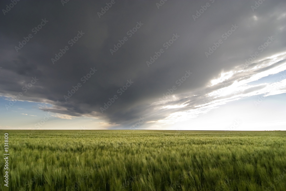 prairie sky landscape