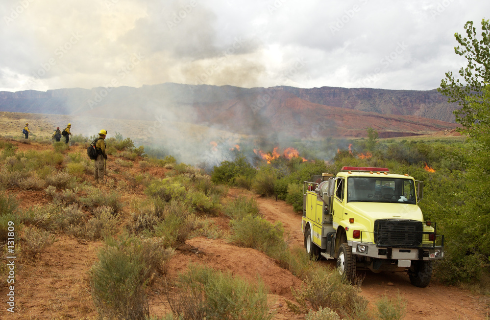 Foto prescribed burn